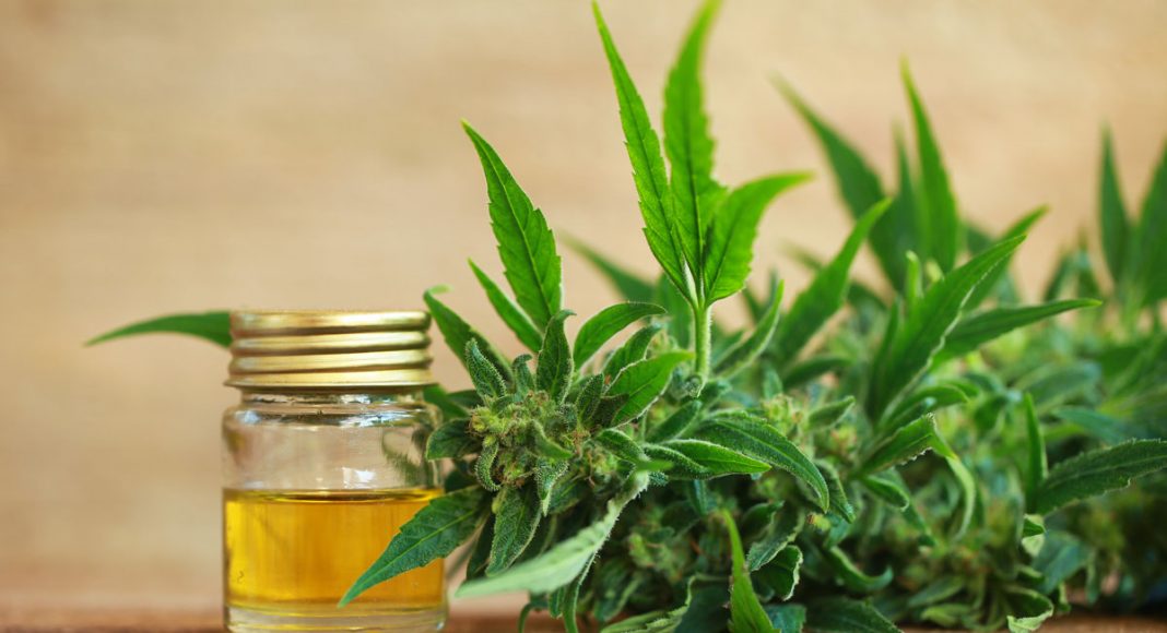 Everything You Need To Know About Cannabis Oil