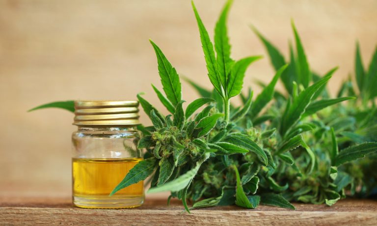 Everything You Need To Know About Cannabis Oil