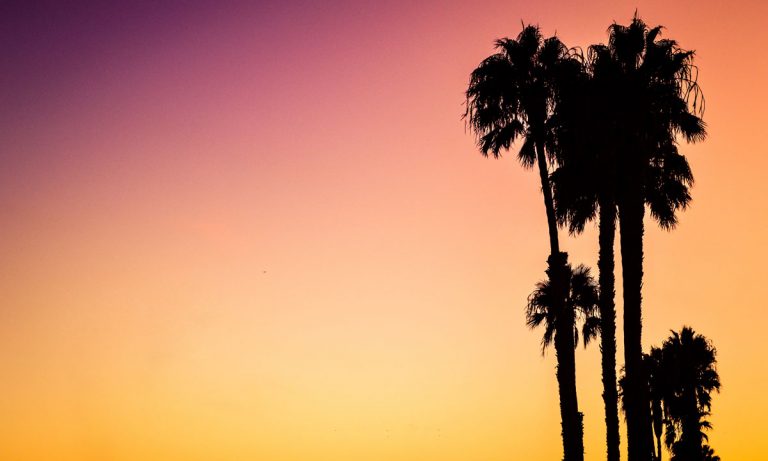 California Raises Cannabis Business Taxes, Legal Operators Worry It Will Drive Illicit Market Growth