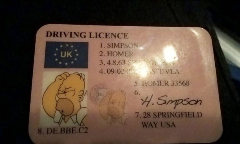Doh! Stopped Driver Gives Cop Homer Simpson License