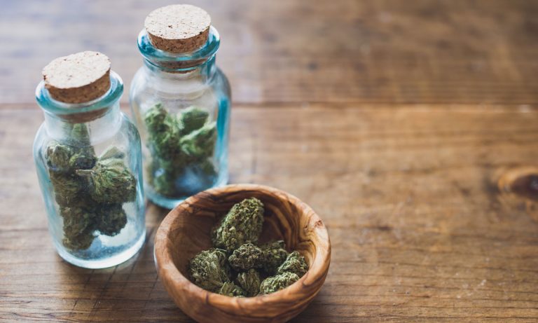 Marijuana 101: A Simple Guide To Marijuana Tasting