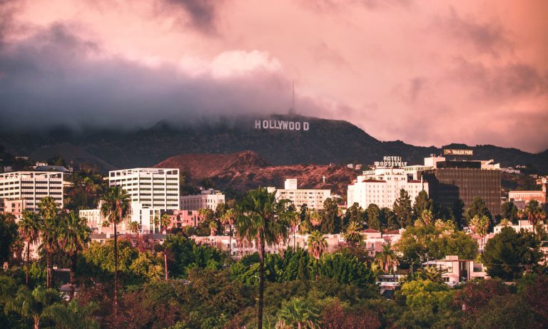 Is This The Future? Cannabis-Focused Co-Working Space In LA