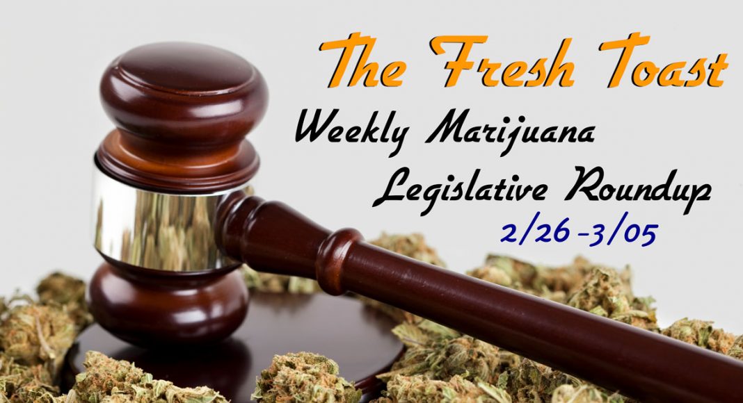The Fresh Toast Marijuana Legislative Roundup: March 5