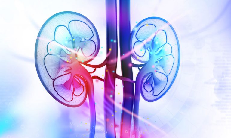 Marijuana Not Harmful To Kidneys, New Study Finds