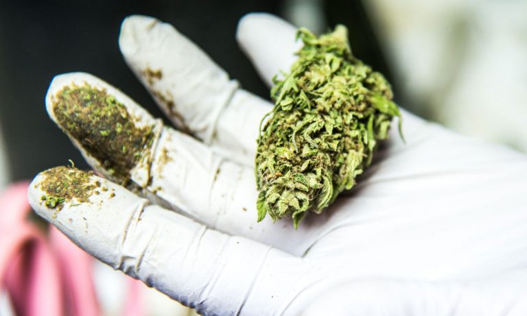 Ohhhhhhhklahoma! Citizens In This Red State Want Medical Marijuana