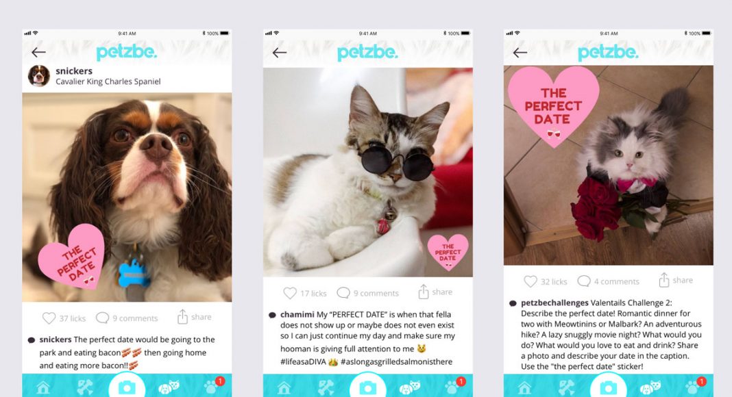 Petzbe, The Social Media App For Dogs And Cats