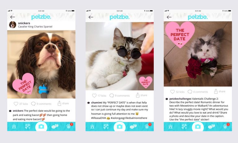 Introducing Petzbe, The Social Media App For Dogs And Cats