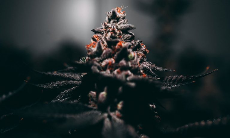 4 Super-Discreet Ways To Use Marijuana