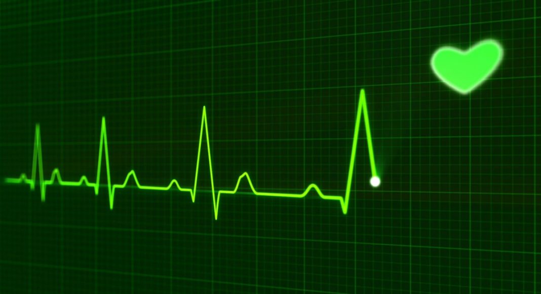 Kevin Smith's Doctors Say Marijuana Saved Him From Heart Attack