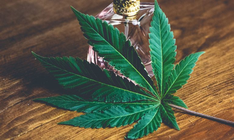 Here’s Why Cannabis Terpenes Are So Very Important