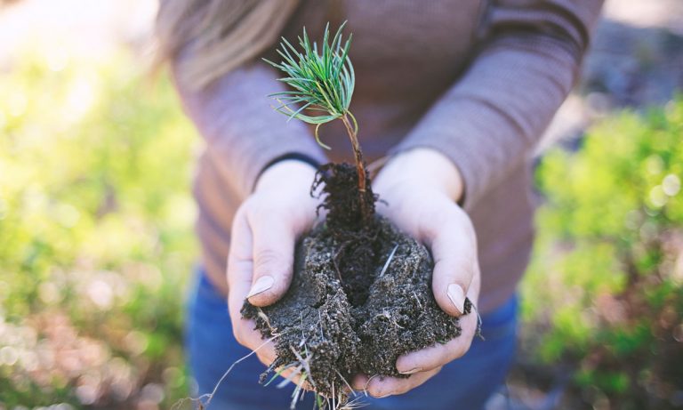 ‘Henry’s Original’ Partners With ‘One Tree Planted’ For Earth Day