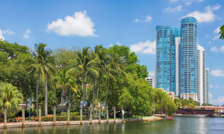 Weed-Flavored Beer Getting South Florida Breweries In Trouble