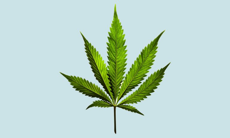 93% Of Americans Support Medical Marijuana Legalization