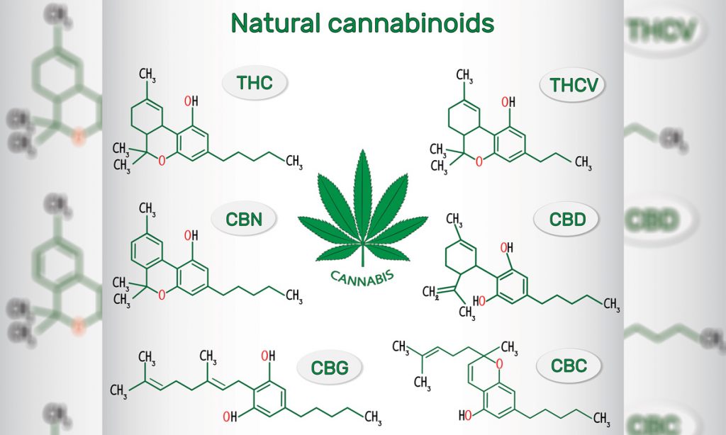 How Marijuana's THCV and Other Cannabinoids Can Positively Impact Your Life