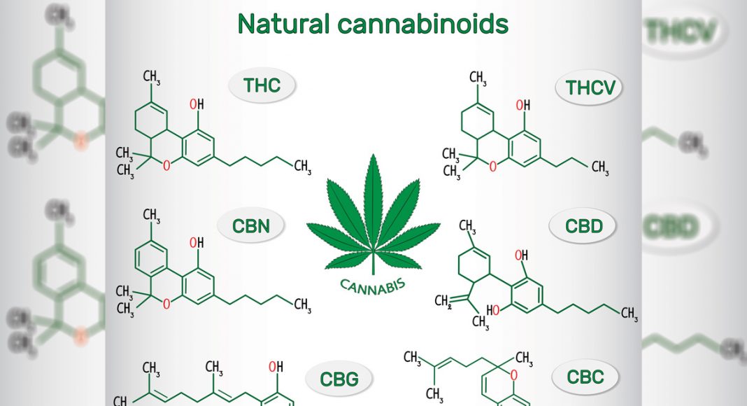 How Marijuana's THCV Can Positively Impact Your Life