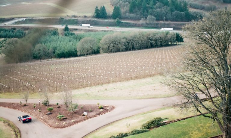 This Small Town Accidentally Legalized Cannabis