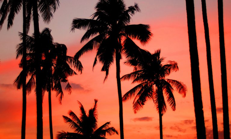 Florida ‘Playing With Political Wildfire’ On Smokable Medical Marijuana Ban