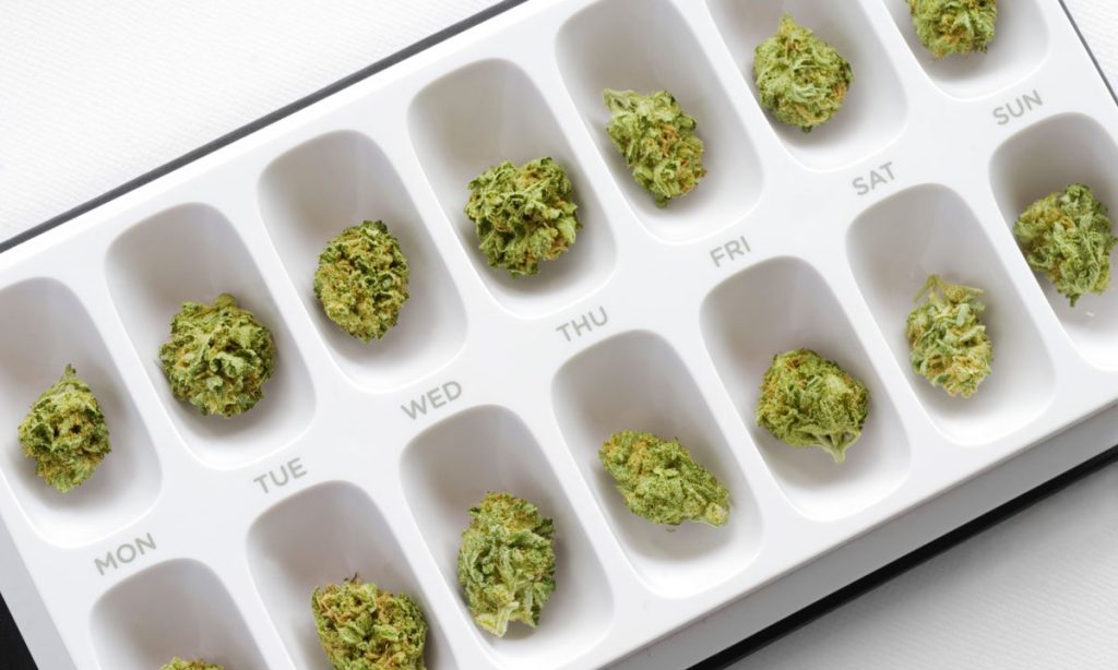 Marijuana 101: The Conundrum Of Cannabis Dosing