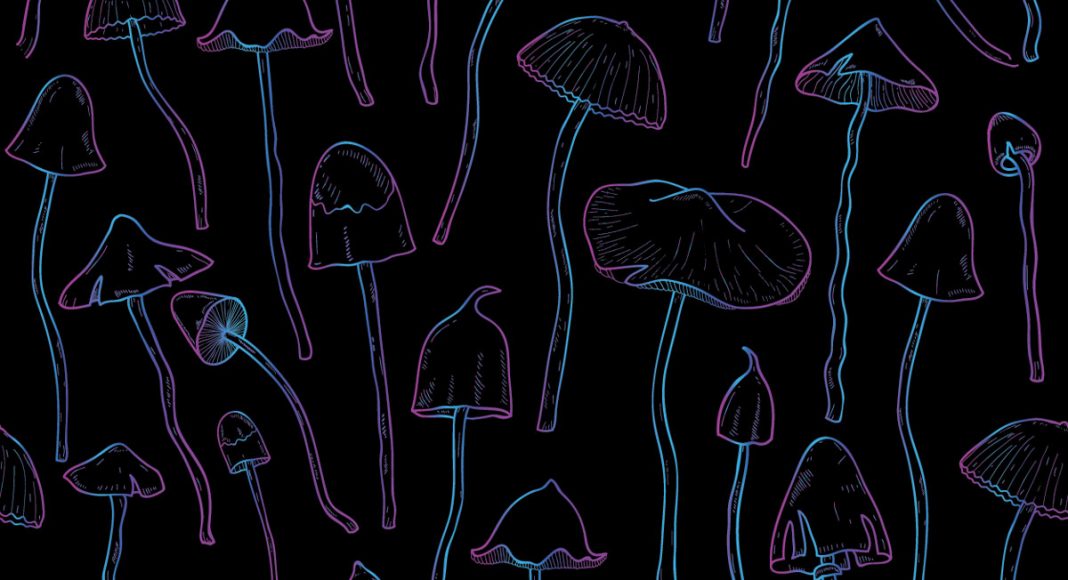 Magic Mushrooms Could Help Treatment-Resistant Depression