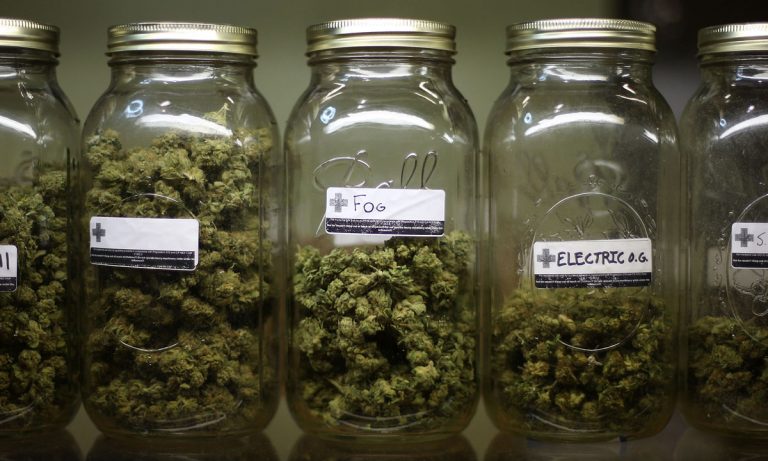 New York Health Dept. Has Finished Its Study On Marijuana Legalization