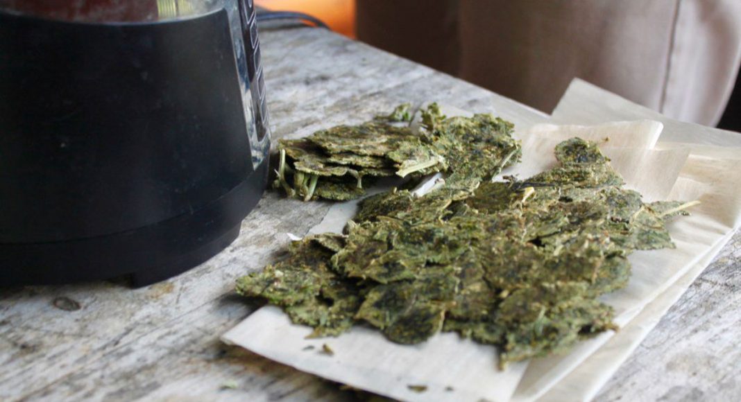 Post Press: What To Do With Marijuana Rosin Chips
