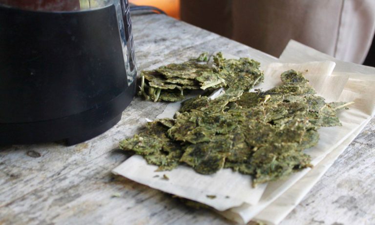 What To Do With Leftover Marijuana Rosin Chips