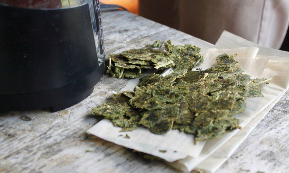 What To Do With Leftover Marijuana Rosin Chips