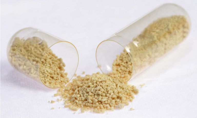 Here’s What Happens When Scientists Find 220-Year-Old Beer Yeast