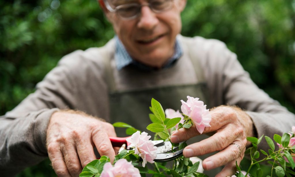 How To Talk About Cannabis With The Elderly