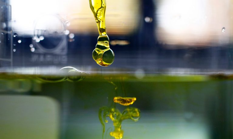 A Timeline Of 200 Years Of CBD