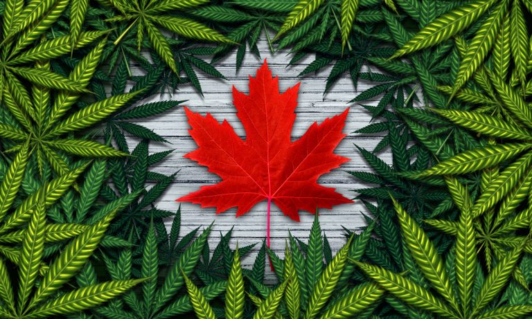 Canadians Legalize Marijuana Like Alcohol