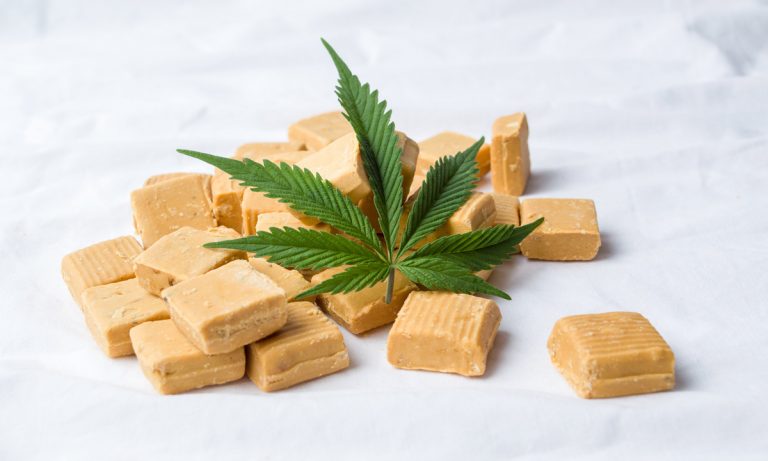 Canopy Growth CEO: Transforming Marijuana Into Products Is Key