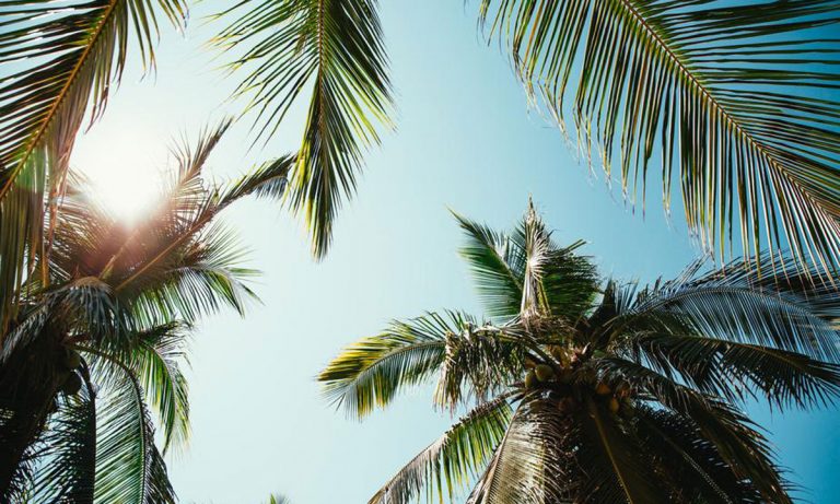 John Morgan And Activists Slowly Winning Florida’s Medical Marijuana Battle