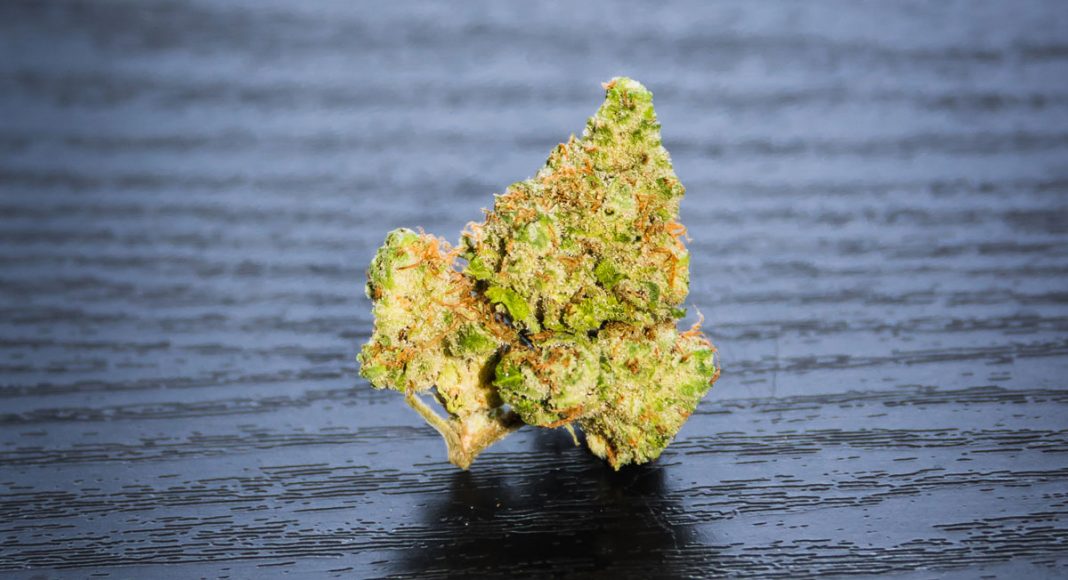 North Carolina Considers Legalizing Small Amounts Of Marijuana