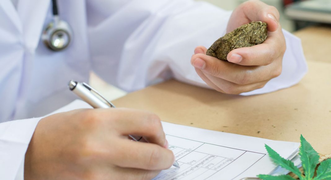 Personalized Treatment: The Future Of Medical Cannabis