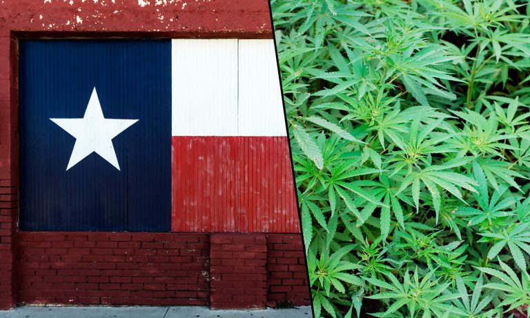 Texas Republicans Now Support Cannabis Decriminalization