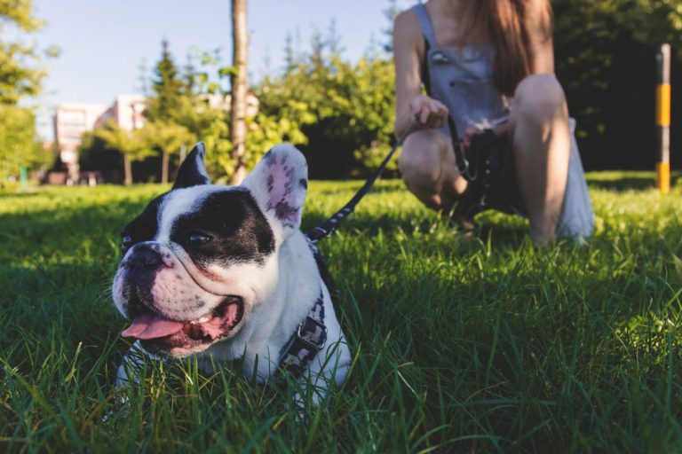 Half Of Women Prefer To Spend Time With Their Dog Than Other People