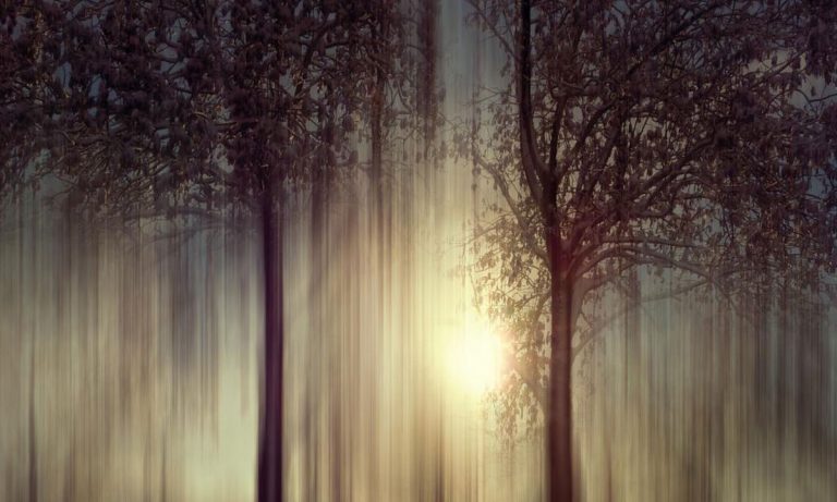 40 Percent Of People Have Fictional Memories Of Their Childhood