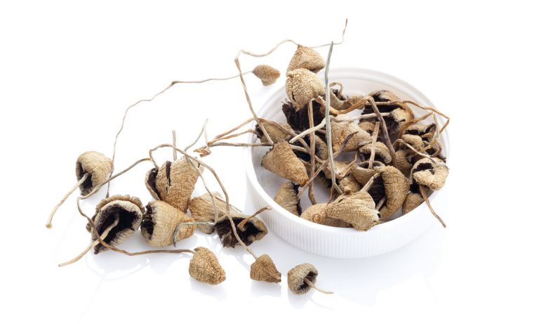 The Medical Benefits Of Taking Psilocybin ‘Magic’ Mushrooms