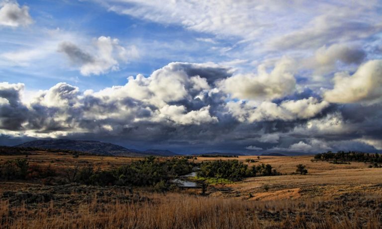 How To Stay Within The Lines Of Oklahoma’s New Medical Marijuana Program