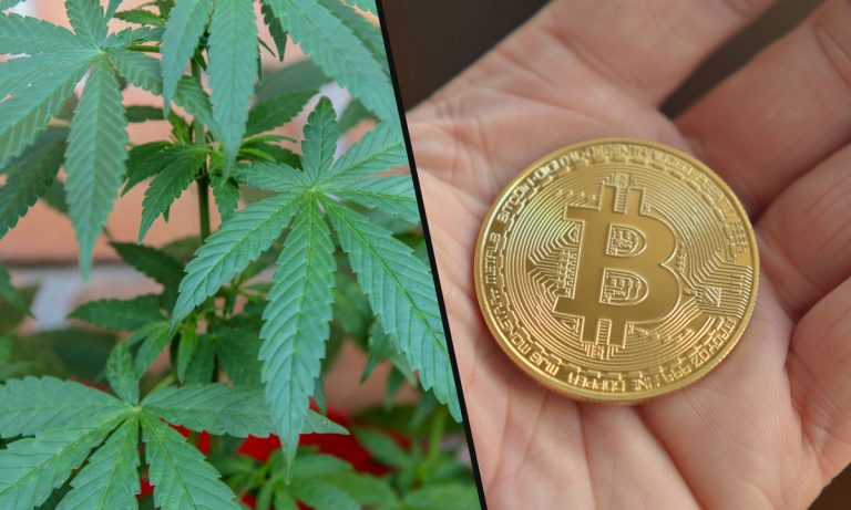 Is Legal Cannabis The New Bitcoin?