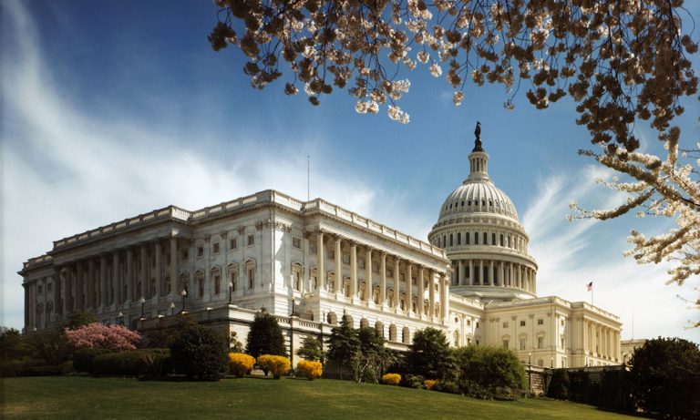 Legal Marijuana Might Help Democrats Gain Control Of The Senate