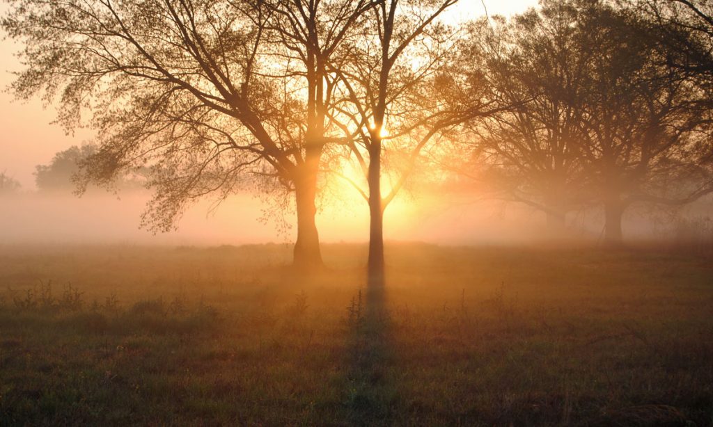 Medical Marijuana 2020 is the campaign to legalize medicinal use in Mississippi.