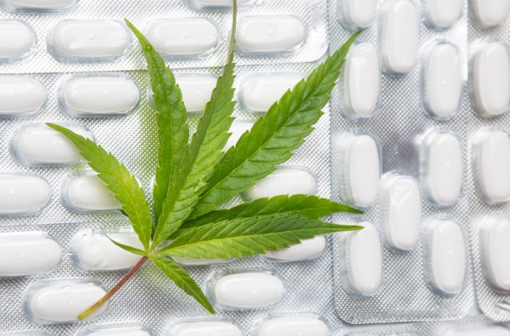 A new "concussion pill" made with cannabis is demonstrating signs of success, which is great news for any NFL athlete or veteran who's been afflicted by brain trauma.