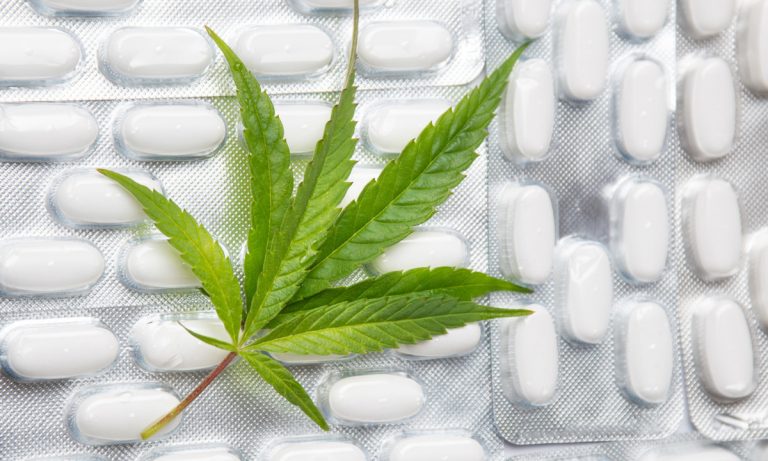 New Cannabis ‘Concussion Pill’ Showing Success