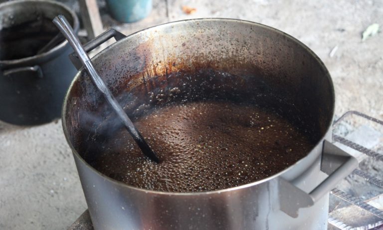 Psychedelic Ayahuasca Found To Treat Debilitating Depression