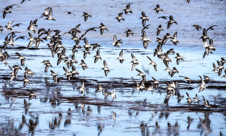 Why Are Marijuana Advocates Getting Pushed Out Of Florida’s Cannabis Industry?