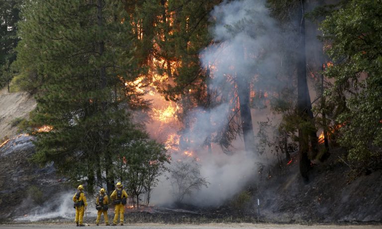 California Carr Fire: When Cannabis Crops Go Up In Smoke
