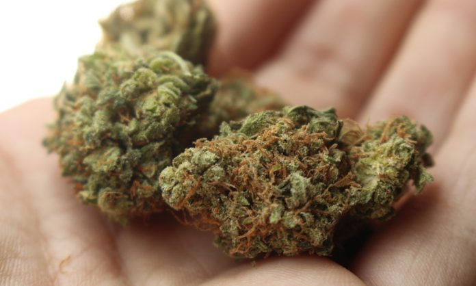 https://www.pexels.com/photo/420-710-buds-cannabis-529720/ Cronos Group Is Soaring With Second Quarter Results