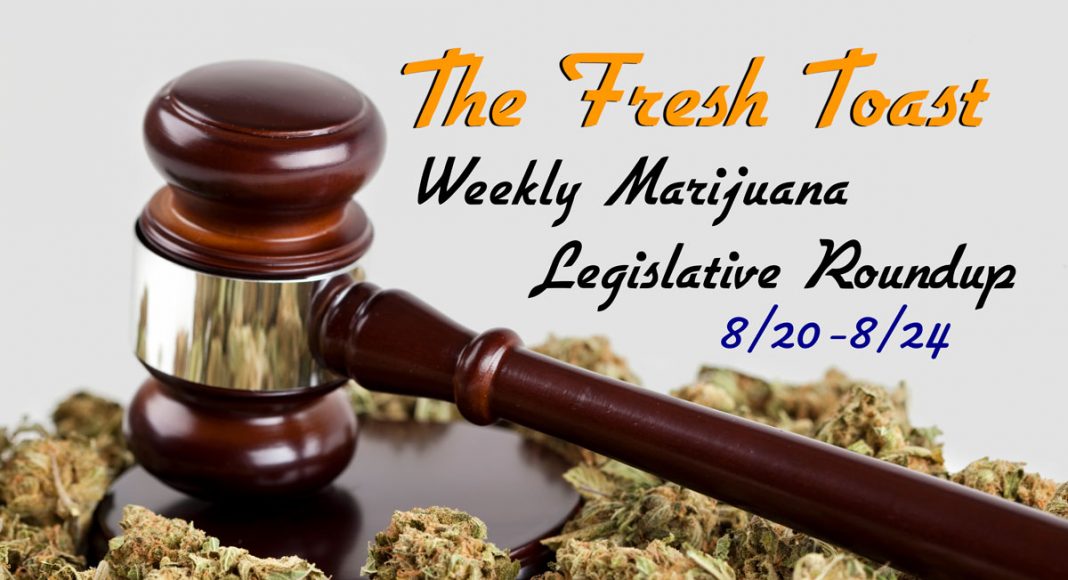 Marijuana legislation